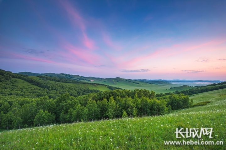 00302637461_635d3b27